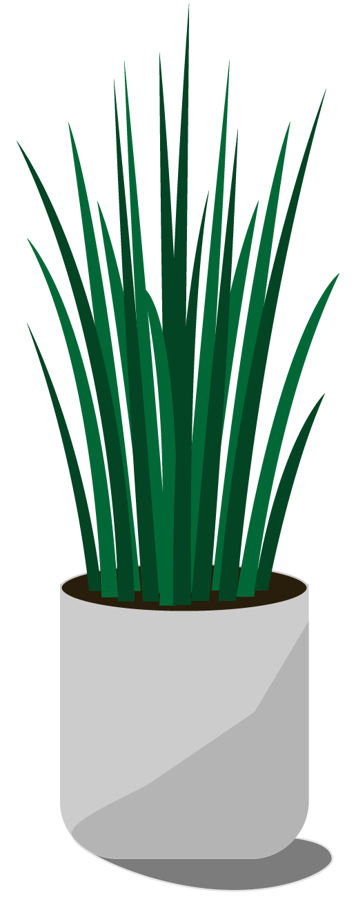 plant