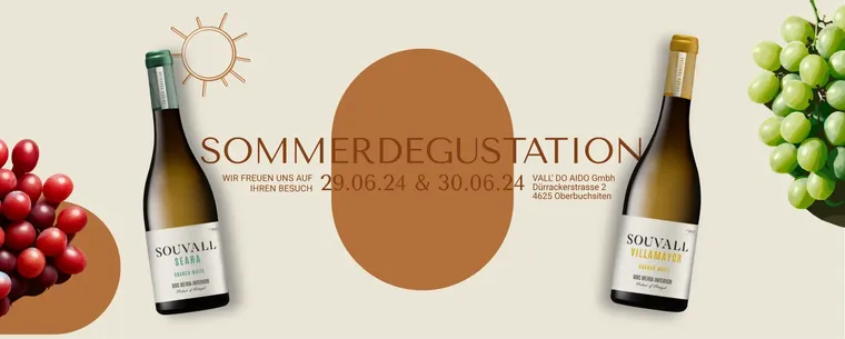 Summer tasting — shop banner